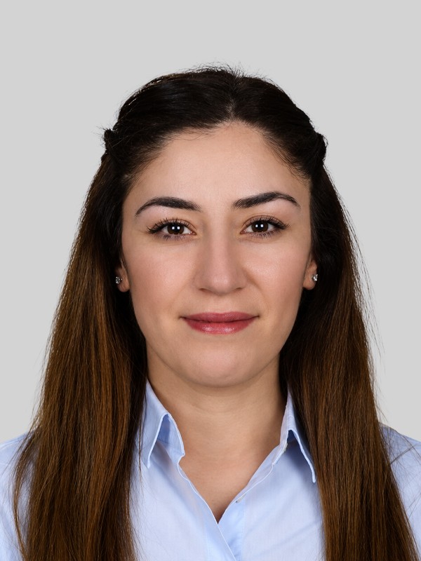 Buse METE